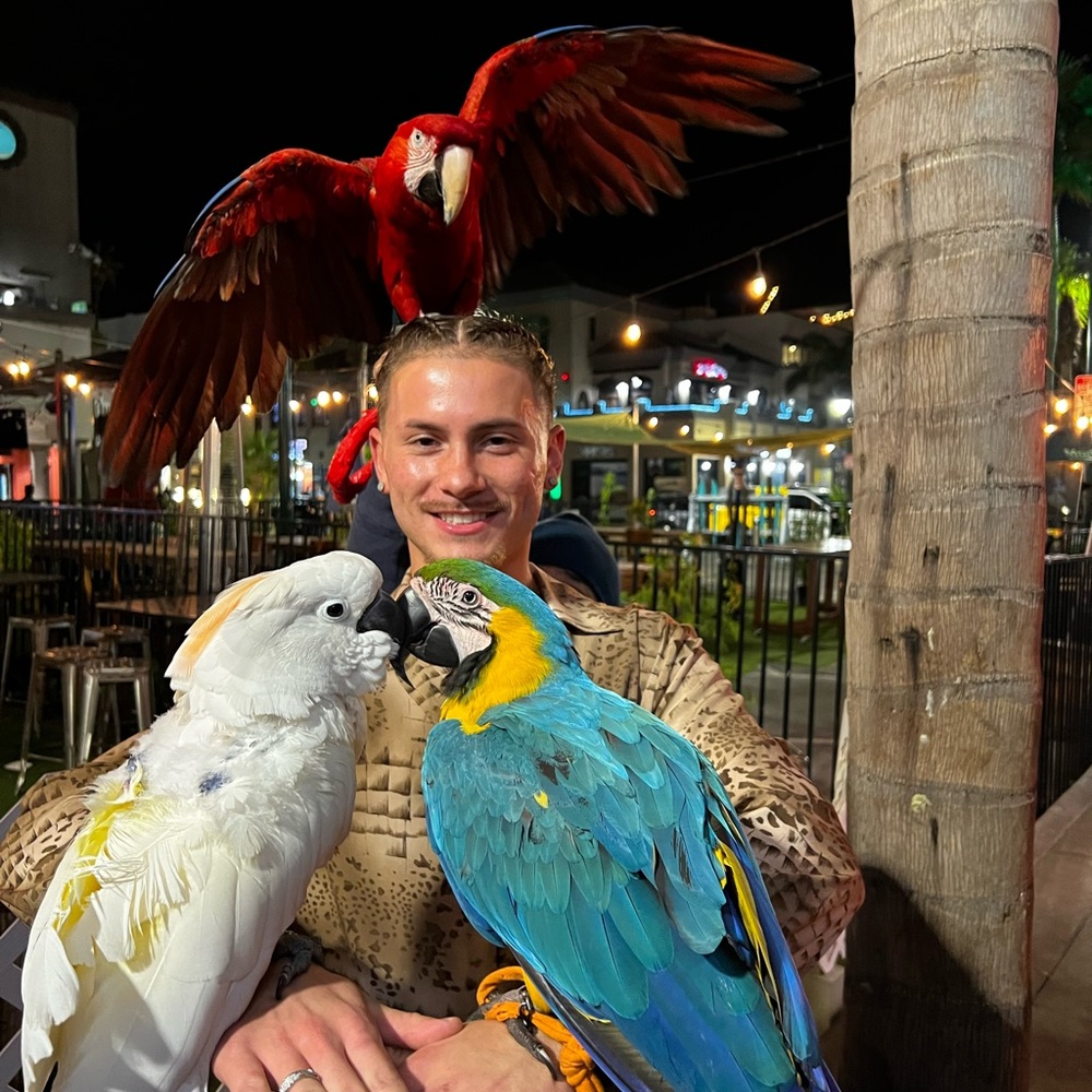 Meet your Posher, Vincent